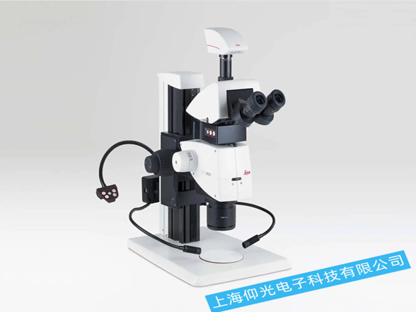 ��W�x��-�wҕ�@΢�R��W�������ϙz�y,��W�x��-�wҕ�@΢�R��W�������ϾS��