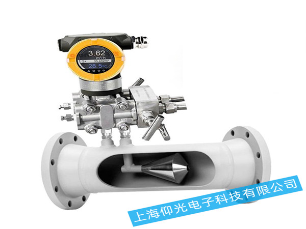 德國羅伯特RFK -V錐流量計維修